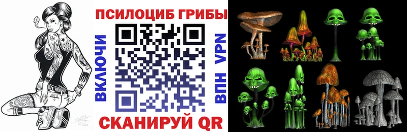 купить закладку Ильский Галлюциногенные грибы мухоморы