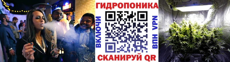 Бошки Шишки марихуана  Ильский 